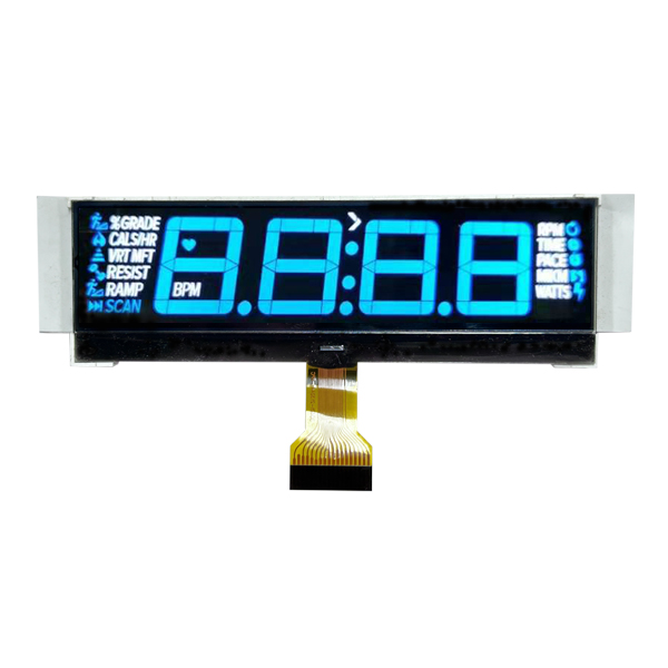 شاشة شاشة LCD أحادية اللون سلبية شاشة سالبة